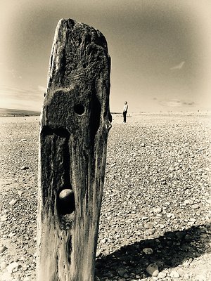 How I Work. mangroyne